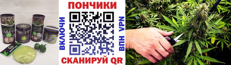 ссылка на мегу зеркало  Стерлитамак  Canna-Cookies конопля  закладка 