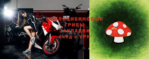 дмт Новокубанск